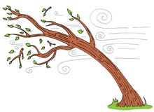 Windy Day Tree Bending Broken Branches Royalty Free Stock Photos Windy Day Tree Bending Broken Branches Royalty Free Stock Photos