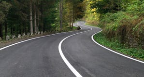 Windy Road In The Forest Royalty Free Stock Photo Windy Road In The Forest Royalty Free Stock Photo