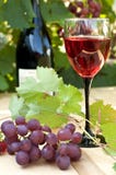 Wine And Grapes Stock Photography