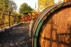 Wine Barrel Royalty Free Stock Images
