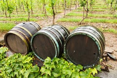 Wine Barrels Royalty Free Stock Images