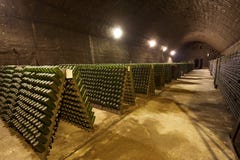 Wine Cellar For The Industrial Production Royalty Free Stock Image