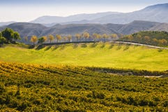 Wine Country, Temecula, Southern California