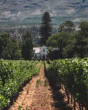 Wine farm main house in vineyards stock photography Wine farm main house in vineyards stock photography
