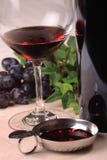 Wine Tasting Stock Image
