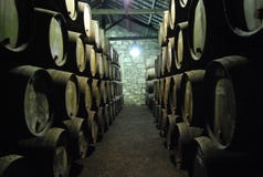 Winecellar Порту стоковое изображение Winecellar Порту стоковое изображение