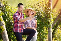 Winegrowers checking color of wine royalty free stock photos Winegrowers checking color of wine royalty free stock photos