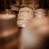 Winemaker barrels двигать up or down путем свертывать на земле Стоковая Фотография Winemaker barrels двигать up or down путем свертывать на земле Стоковая Фотография