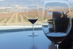 Wineyard localizó en La Rioja España foto de archivo Wineyard localizó en La Rioja España foto de archivo