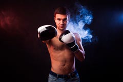 Studio portrait of a muscular boxer in professional gloves of Eu royalty free stock photography Studio portrait of a muscular boxer in professional gloves of Eu royalty free stock photography