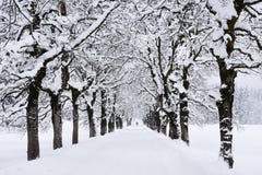 Winter alley stock images Winter alley stock images