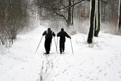 Winter couple on ski