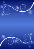 Winter Floral Background Royalty Free Stock Photography