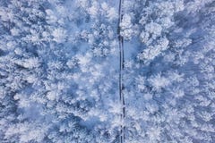 Winter forest covered in thick snow. Aerial landscape royalty free stock photography Winter forest covered in thick snow. Aerial landscape royalty free stock photography