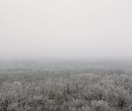 Winter forest in fog or myst, aerial view. White nature landscape, frost and tranquility Stock Image Winter forest in fog or myst, aerial view. White nature landscape, frost and tranquility Stock Image