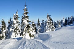 Winter In The Carpathian Mountains Royalty Free Stock Photos
