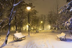 Winter In The Park Royalty Free Stock Images