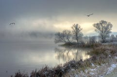 Winter lake with flying birds
