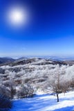 Winter Landscape Royalty Free Stock Photography