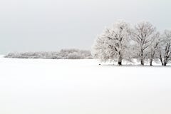 Winter Landscape Royalty Free Stock Photos Winter Landscape Royalty Free Stock Photos