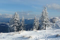 Winter Landscape Royalty Free Stock Photos