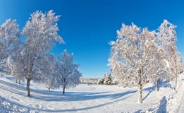 Winter landscape stock image Winter landscape stock image