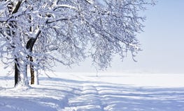 Winter Landscape Stock Photography