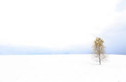 Winter Landscape Royalty Free Stock Photography Winter Landscape Royalty Free Stock Photography