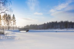 Winter Landscape Stock Image