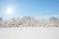 Winter Landscape Stock Photos