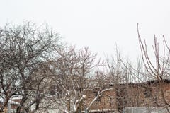 Winter landscape with a colorful house under a beautiful tree full of snow royalty free stock photos Winter landscape with a colorful house under a beautiful tree full of snow royalty free stock photos