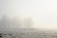 Winter landscape with frozen bare trees on a field covered with frozen dry grass in a thick fog during sunrise stock image Winter landscape with frozen bare trees on a field covered with frozen dry grass in a thick fog during sunrise stock image