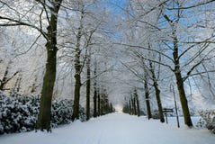 Winter landscape in the Netherlands. Beautiful winter landscape in the Netherlands ( Elswout Overveen stock images Winter landscape in the Netherlands. Beautiful winter landscape in the Netherlands ( Elswout Overveen stock images