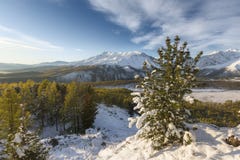 Winter landscape in sunny day royalty free stock photography Winter landscape in sunny day royalty free stock photography