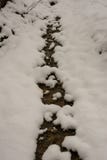 Winter landscape. Tree and dry grass plants in the snow. Snow caped mountain range in blurred background royalty free stock photography Winter landscape. Tree and dry grass plants in the snow. Snow caped mountain range in blurred background royalty free stock photography