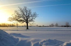 Winter Morning Stock Images Winter Morning Stock Images