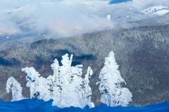 Winter mountain landscape with snowy trees stock photos Winter mountain landscape with snowy trees stock photos