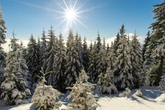 Winter in the mountains royalty free stock images Winter in the mountains royalty free stock images