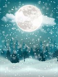 Winter night holiday landscape royalty free illustration Winter night holiday landscape royalty free illustration