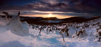 Winter Panorama Stock Images Winter Panorama Stock Images
