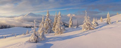 Winter Panorama Royalty Free Stock Photo