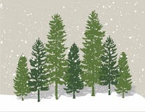 Winter pine trees royalty free illustration Winter pine trees royalty free illustration