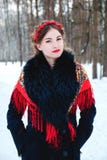 Winter portreit smiling girl with beautiful hair on her head in Russian folk style in red shawls stock photos Winter portreit smiling girl with beautiful hair on her head in Russian folk style in red shawls stock photos
