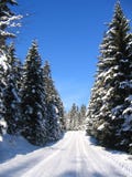 Winter Road Stock Image Winter Road Stock Image
