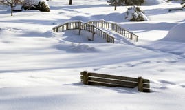 Winter Scene In Snowy Park Royalty Free Stock Photo