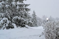Winter Scene stock photography Winter Scene stock photography