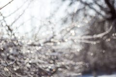 winter snow blurred background in city park, snowfall in forest, tree branches and bushes covered with snow royalty free stock photos winter snow blurred background in city park, snowfall in forest, tree branches and bushes covered with snow royalty free stock photos
