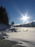 Winter Sun Royalty Free Stock Photography