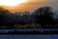 Winter Sunset Royalty Free Stock Images