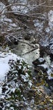 Winter water ways royalty free stock image Winter water ways royalty free stock image